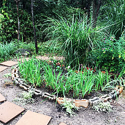 花壇diy コンクリート平板のインテリア 手作りの実例 Roomclip ルームクリップ