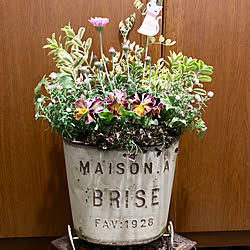 プリンセスクローバーのインテリア実例 Roomclip ルームクリップ