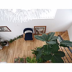 棚/踊り場/IKEA/YARD/北欧...などのインテリア実例 - 2015-07-22 05:50:35