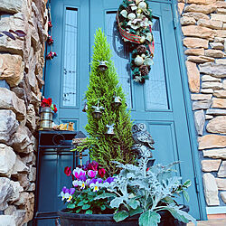 英国インテリア/ストーンタイル/緑のドア/玄関ドア ykk/クリスマスツリー...などのインテリア実例 - 2021-12-09 23:49:30