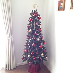 リビング/クリスマスツリーのインテリア実例 - 2013-11-29 14:35:07