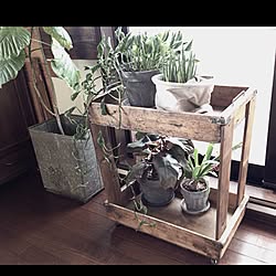 ポトステルノシャングリラのインテリア実例 Roomclip ルームクリップ ポトステルノシャングリラのインテリア実例 Roomclip ルームクリップ