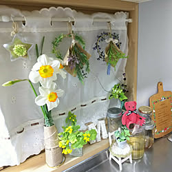 かめらまーく消し/花と緑のある暮らし/ありがとう♡/RCの出会いに感謝♡/水仙の花...などのインテリア実例 - 2019-04-05 00:03:59