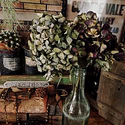 サイダーの瓶のインテリア実例 Roomclip ルームクリップ