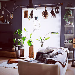 リビング/アクタスのソファ/RoomClipドラマ化/全てDIY/インスタ→papa3_factory...などのインテリア実例 - 2018-07-23 15:23:59