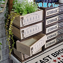 100均 壁にかけられる観葉植物のインテリア実例 Roomclip ルームクリップ