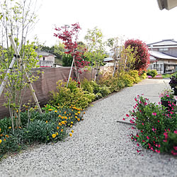 玄関/入り口/庭/色鮮やかになってきました/いやしの空間/花のある暮らし...などのインテリア実例 - 2020-04-09 18:12:06