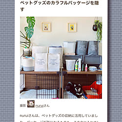 ゲージまわり/ゲージ/ダイソーランドリーバッグ/ダイソー/magに掲載していただきました✨...などのインテリア実例 - 2020-08-27 00:38:45