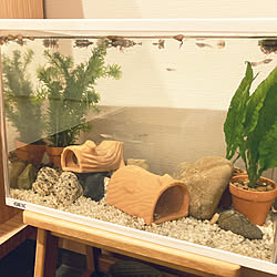 グリーンウォーターのインテリア実例 Roomclip ルームクリップ グリーンウォーターのインテリア実例 Roomclip ルームクリップ