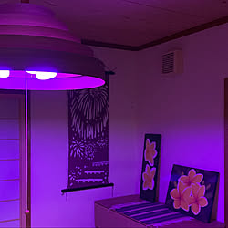 Hue Bluetooth/Philips Hue/スマートホーム/照明/和室...などのインテリア実例 - 2020-04-25 19:01:01