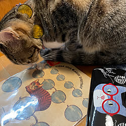 眼鏡市場のインテリア実例 Roomclip ルームクリップ