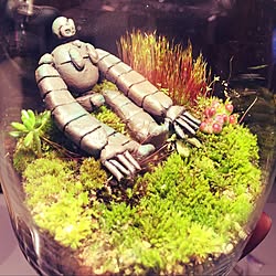 ジブリ インテリア ロボット兵 ラピュタ 苔テラリウム などのインテリア実例 21 12 27 16 32 22 Roomclip ルームクリップ