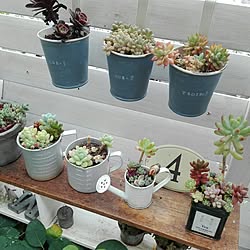 ベッド周り/グリーンのある暮らし/植物/いただきものいっぱいです("Ü")/雑貨...などのインテリア実例 - 2017-05-25 08:26:19