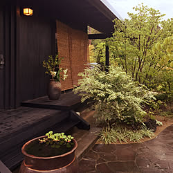 玄関 入り口 石段 裏玄関 土間のある暮らし 飛び石アプローチ などのインテリア実例 15 08 08 10 48 01 Roomclip ルームクリップ