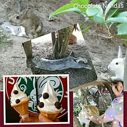 棚/お暇を見つけてコメント返信します!/コメントお返しまだでごめんなさい‼︎/RC愛媛支部/石橋は壊れていても渡る会...などのインテリア実例 - 2015-09-22 18:23:26
