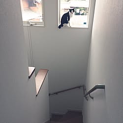 折り返し階段のインテリア実例 Roomclip ルームクリップ