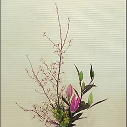 玄関/入り口/桜/ユリ/植物のインテリア実例 - 2016-05-27 22:26:41