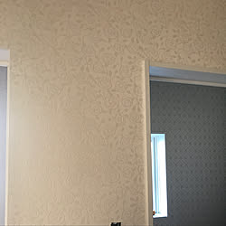 玄関 入り口 シンプル シンコール壁紙 アクセントクロス 漆喰風 漆喰風壁紙 などのインテリア実例 18 05 03 16 26 44 Roomclip ルームクリップ