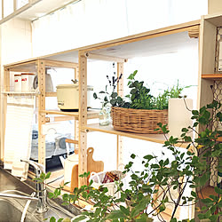 キッチンの出窓/くらしのeショップモニター/山善/キャセロール/二世帯住宅の二階...などのインテリア実例 - 2019-10-05 08:26:58