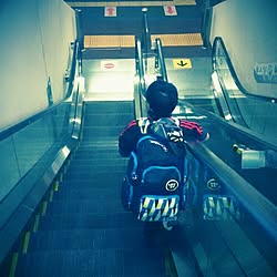部屋全体/インテリアじゃなくてごめんなさい/のんびりまったり♪/RCの皆さまに感謝♡/いいね&コメントありがとうございますのインテリア実例 - 2015-05-23 11:37:02