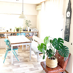 BotaNice/植物のある暮らし/多肉植物/ガーデニング/観葉植物...などのインテリア実例 - 2020-09-05 21:19:08