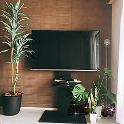 ニトリ 光触媒人工観葉植物のインテリア実例 Roomclip ルームクリップ ニトリ 光触媒人工観葉植物のインテリア実例 Roomclip ルームクリップ