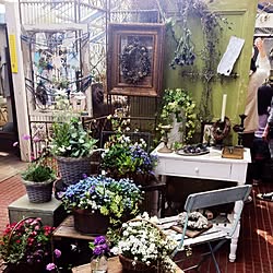 さいたま市 フローラ黒田園芸のインテリア実例 Roomclip ルームクリップ さいたま市 フローラ黒田園芸のインテリア実例 Roomclip ルームクリップ