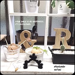 キッチン/サザエウィッグ入りませんか?/Abofamily♡/グリーンのある暮らし/サボテン...などのインテリア実例 - 2015-09-04 07:46:30
