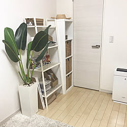 おうち時間/くらしのeショップ/ig→namiheeeey/山善アンバサダー/くらしのeショップモニター...などのインテリア実例 - 2020-05-17 11:31:49