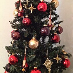 リビング/オーナメント/クリスマスツリー/サンタクロースのインテリア実例 - 2013-12-01 23:33:24
