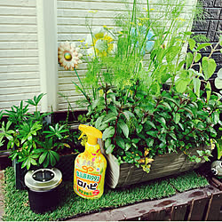 ゴキブリ対策 ゴキブリよけのインテリア実例 Roomclip ルームクリップ