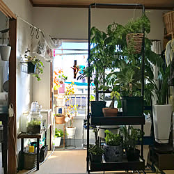 ベッド周り/和室/トローリーハンガー/くらしのeショップモニター/山善...などのインテリア実例 - 2018-12-24 14:16:08