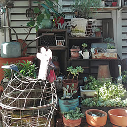 ベッド周り/多肉植物/雑貨/朝の1枚/古いもの...などのインテリア実例 - 2017-11-05 09:17:42