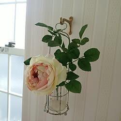 バス/トイレ/造花/いいね&フォローありがとうございます☆/コメントのお返しまだでゴメンなさい‼︎/画像加工なし♪...などのインテリア実例 - 2015-02-03 16:51:38