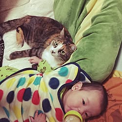 赤ちゃんと猫のインテリア実例 Roomclip ルームクリップ