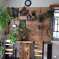 カポック カポックの花 臭い 玄関 入り口 緑 などのインテリア実例 17 07 28 13 17 13 Roomclip ルームクリップ