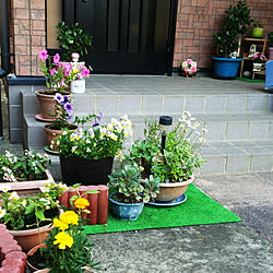 ガーデニング雑貨 玄関ガーデニングのインテリア実例 Roomclip ルームクリップ