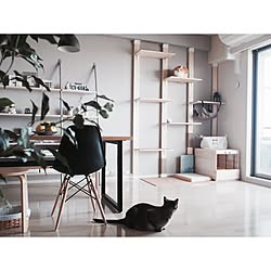 ニトリ キャットウォークのインテリア実例 Roomclip ルームクリップ ニトリ キャットウォークのインテリア実例 Roomclip ルームクリップ