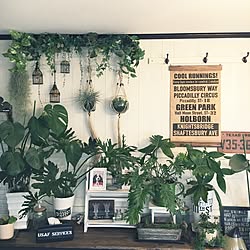 机/いつもいいねやコメありがとうございます♡/いいね!押し逃げばかりでごめんなさい。/DIY/板壁DIY...などのインテリア実例 - 2017-01-25 09:26:50