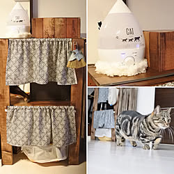 猫トイレカバーdiyのインテリア 手作りの実例 Roomclip ルームクリップ 猫トイレカバーdiyのインテリア 手作りの実例 Roomclip ルームクリップ