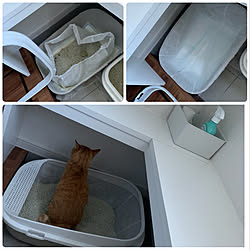 猫砂のインテリア実例 Roomclip ルームクリップ