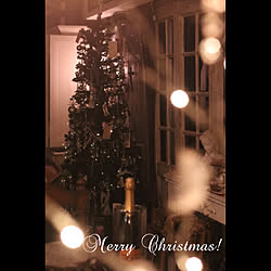 部屋全体/クリスマスパーティー/French/ブログやってます♡/Shabby Chic...などのインテリア実例 - 2017-12-24 15:58:20