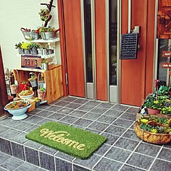 多肉植物 虫除けカバーのインテリア実例 Roomclip ルームクリップ