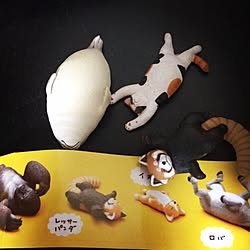 もうしら寝のインテリア実例 Roomclip ルームクリップ