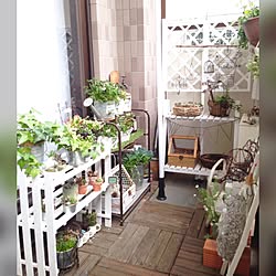 机/DIY/スノコ棚/多肉植物/グリーンのある暮らし...などのインテリア実例 - 2016-05-13 07:21:01