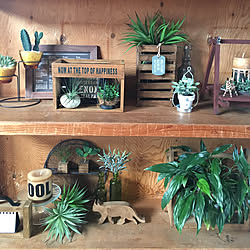 100均 ラバーバンドのインテリア実例 Roomclip ルームクリップ