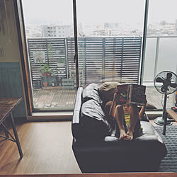 部屋全体/IG→yuki.16.13/IGやってます/DIY/グリーンのある暮らし...などのインテリア実例 - 2017-08-02 23:10:52
