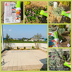土にまくだけ害虫退治オールスター/アースガーデン/害虫対策/植物のある暮らし/ガーデニング...などのインテリア実例 - 2020-05-01 18:26:03