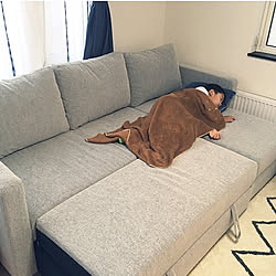 Lowya ラグ これで落ちない ニトリ ソファベッド などのインテリア実例 17 06 19 19 28 40 Roomclip ルームクリップ Lowya ラグ これで落ちない ニトリ ソファベッド などのインテリア実例 17 06 19 19 28 40 Roomclip ルームクリップ