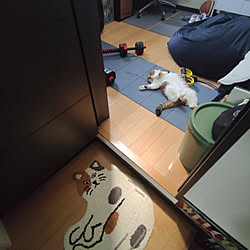 無印良品 ダンベルのインテリア実例 Roomclip ルームクリップ
